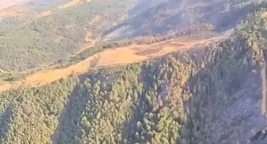 Uşak ve Bilecik’te yangınlar kontrol altında... Sakarya Geyve’de mücadele sürüyor