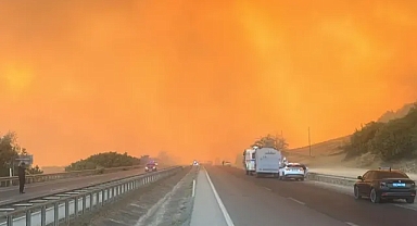 Bursa Yenişehir'de orman yangınına yoğun müdahale