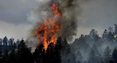 Çanakkale’de yangın nedeniyle 7 köy tedbir amaçlı tahliye edildi