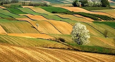 İki yıl ekilmeyen araziler devlet eliyle kiralanacak