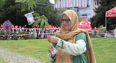 İzmitliler güne ağaçtan pişmaniye toplayarak başladı!