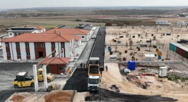 Eskişehir'de hayvan barınağında sona yaklaşılıyor