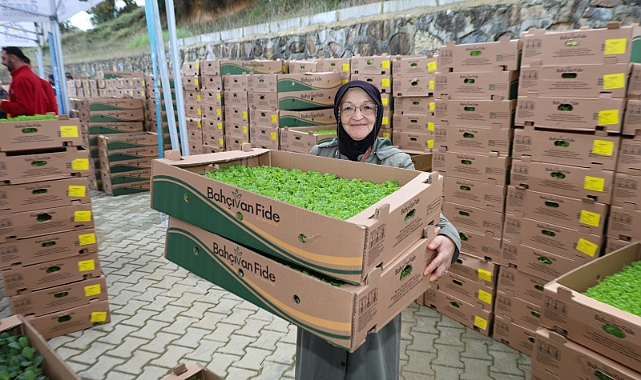 Gebzeli çiftçiye 500 bin sebze fidesi