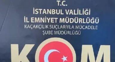 İstanbul'da tarihi eser kaçakçılığı operasyonu! 7 gözaltı