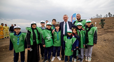 Karamürsel'de yanan bölge 3 bin fidanla yeniden yeşerecek