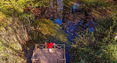 Sonbahar, huzurun adresi Ormanya'da bir başka
