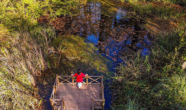 Sonbahar, huzurun adresi Ormanya'da bir başka