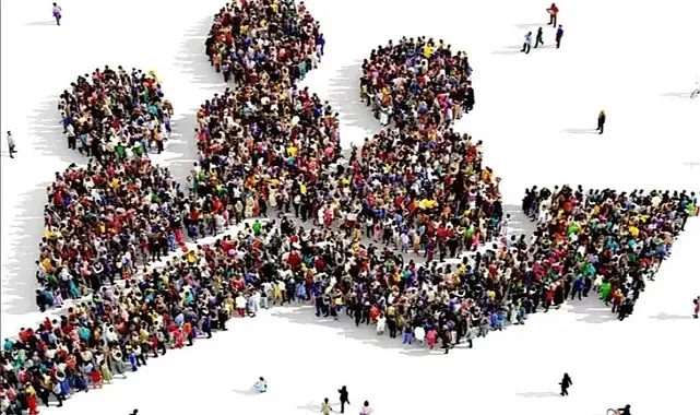 Türkiye nüfusu 86 milyona yaklaştı