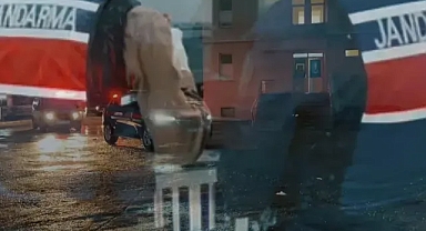 6 ilde dev operasyon! 9 organize suç örgütü çökertildi!