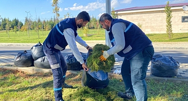 Gebze Millet Bahçesi'nde hızlı ve etkin çalışma