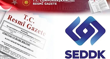 SEDDK'dan üç önemli düzenleme... Sigorta sektöründe finansal raporlama kuralları 2027'ye ertelendi