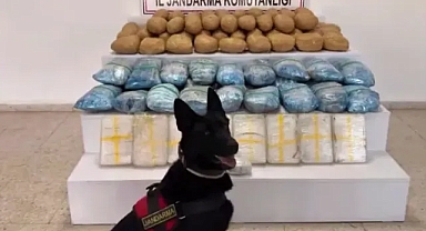 63 ilde 1 tonu aşkın uyuşturucu ele geçirildi