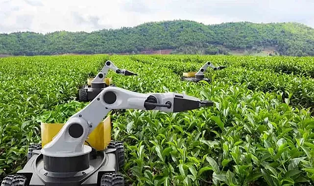 Kamu Teknoloji Platformu 2026'yı 'Kamusal Zekâ Yılı' ilan etti... Kamuda 'metal yaka' dönemi başlıyor