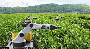 Kamu Teknoloji Platformu 2026'yı 'Kamusal Zekâ Yılı' ilan etti... Kamuda 'metal yaka' dönemi başlıyor