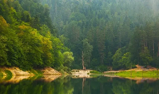 Doğa Koruma ve Milli Parklar'da yeni dönem... Yetkiler artırıldı, cezalar yükseltildi