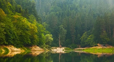Doğa Koruma ve Milli Parklar'da yeni dönem... Yetkiler artırıldı, cezalar yükseltildi