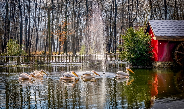 Ormanya ve Kuzuyayla Ramazan Bayramı’na hazır; Bayramda kapınız doğaya açılsın