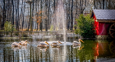 Ormanya ve Kuzuyayla Ramazan Bayramı’na hazır; Bayramda kapınız doğaya açılsın
