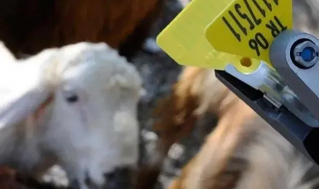 Hayvan sahiplerine aşı ve küpe ücretlerinde önemli ayar... O ücretler desteklemeden düşecek