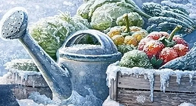 Kocaeli'de üreticilere 'zirai don' uyarısı