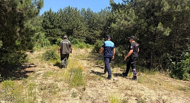 Dilovası’nda Orman Yangınlarına Karşı Sıkı Denetim
