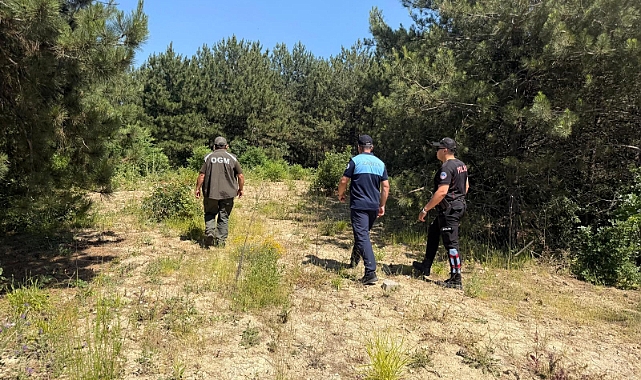 Dilovası’nda Orman Yangınlarına Karşı Sıkı Denetim