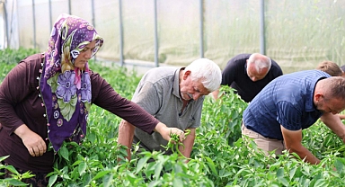 Büyükşehir’in sera desteği üretime güç kattı